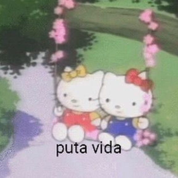 Meet your Posher, Sara - Picture 1 of 1